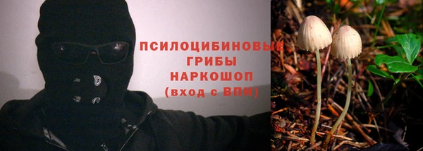 2c-b Горняк