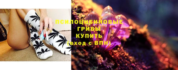 2c-b Горняк