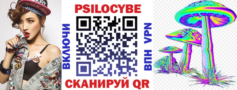 купить   Саранск  ссылка на мегу tor  Псилоцибиновые грибы Psilocybe 